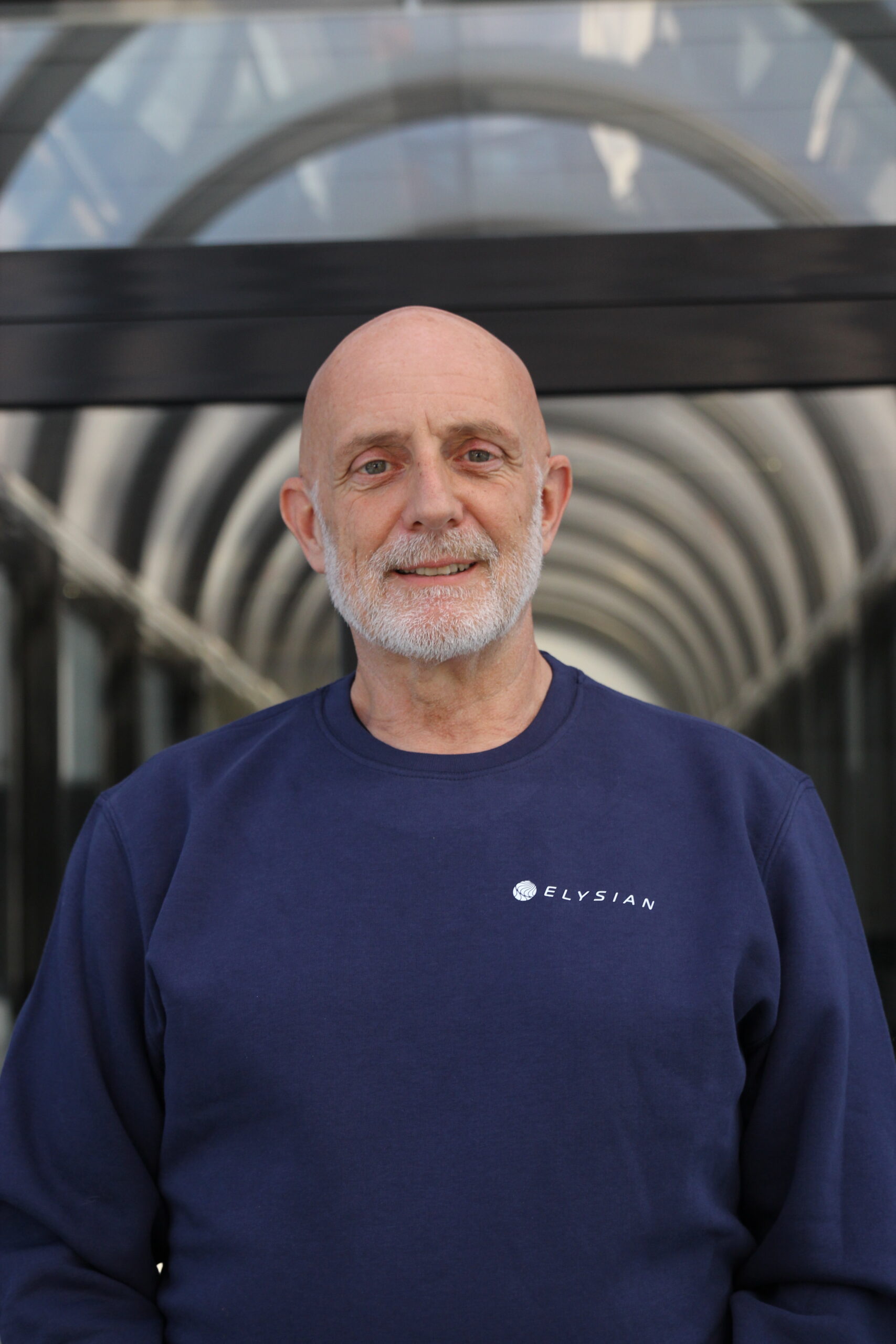 Luc van den Avyle